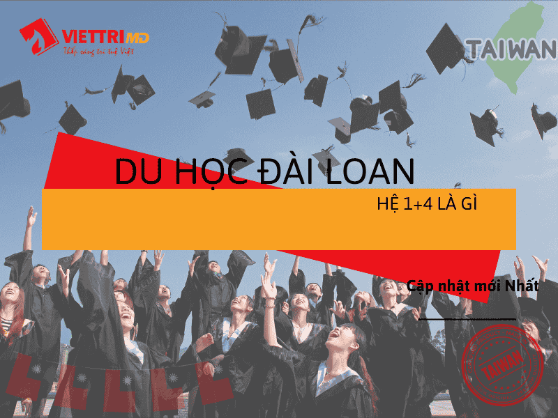 Du học Đài Loan hệ 1+4 Là Gì? MỚI NHẤT 2025 - Việt Trí Group