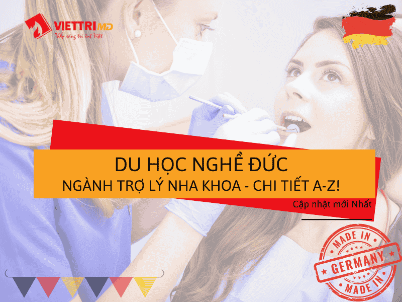 Du Học Nghề Đức Ngành Trợ Lý Nha Khoa 2025 – Chi Tiết A-Z | Việt Trí Group
